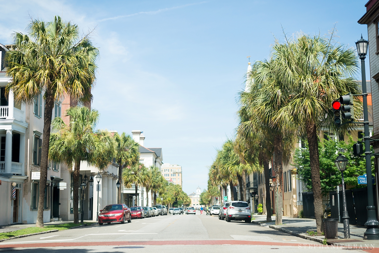 palm-trees-lining-the-street-in-downtown