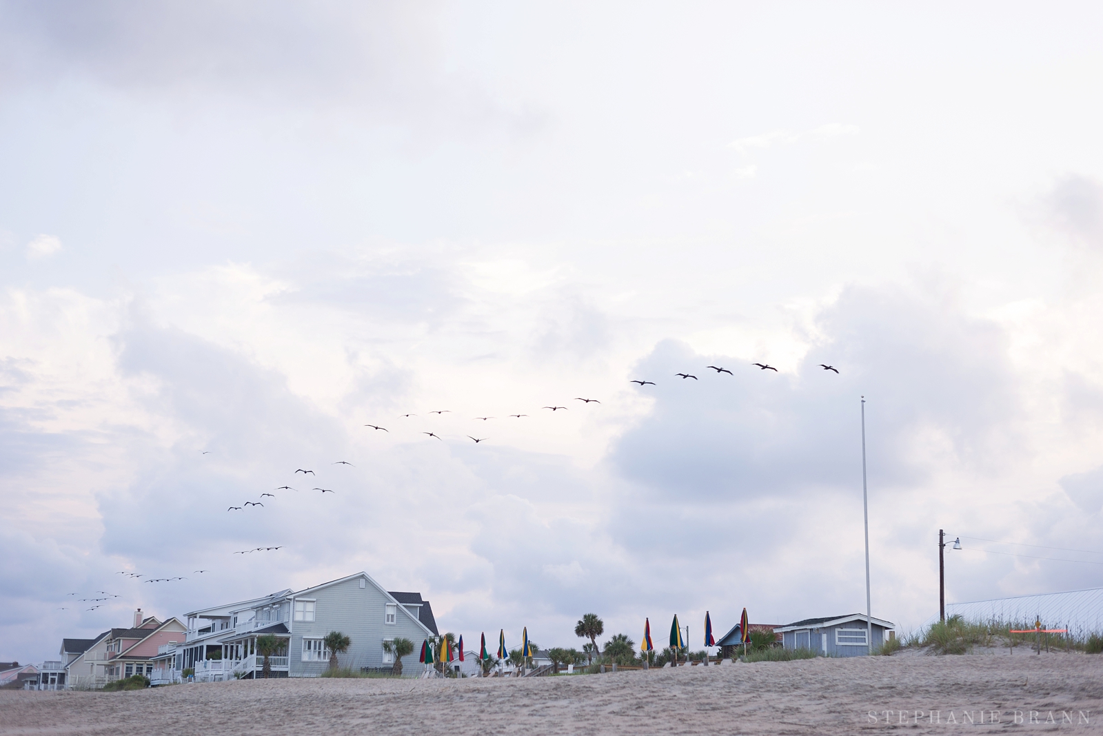 houses-along-a-beach-with-birds-flying-above