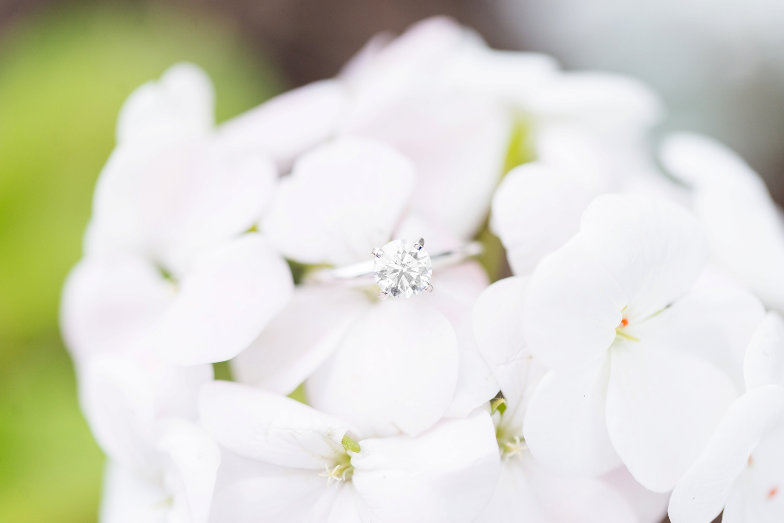 wedding-ring-sitting-on-beautiful-white-flowers