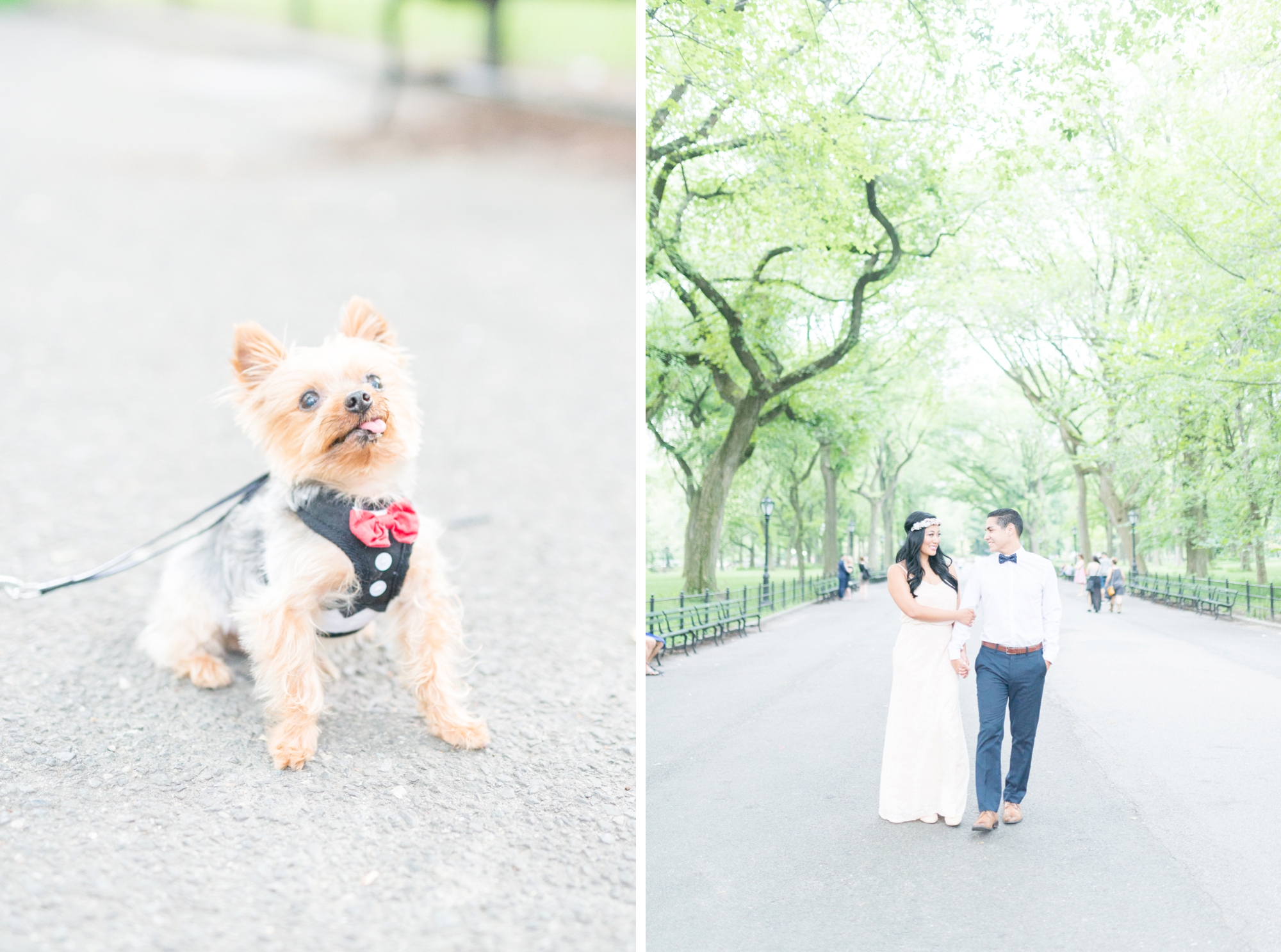 wedding-photography-in-central-park-new-york-city_0203