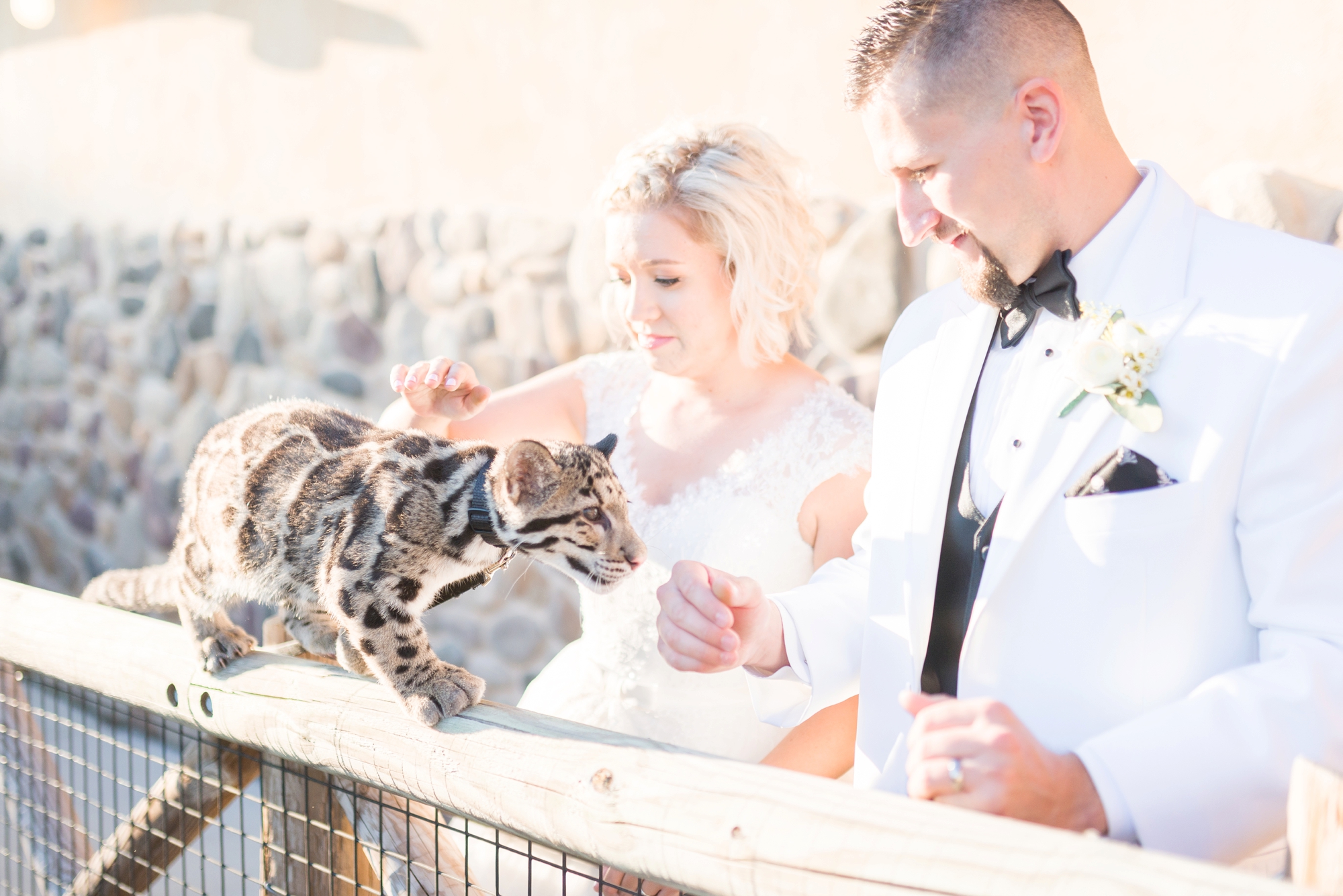 wedding-photography-at-dublin-community-church-and-columbus-zoo-and-aquarium-africa-events-center_0350