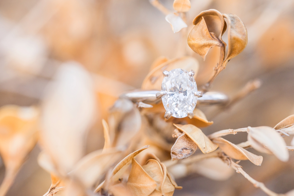winter-engagements-at-chillicothe-in-the-downtown-area-by-the-stone-and-brick_0491