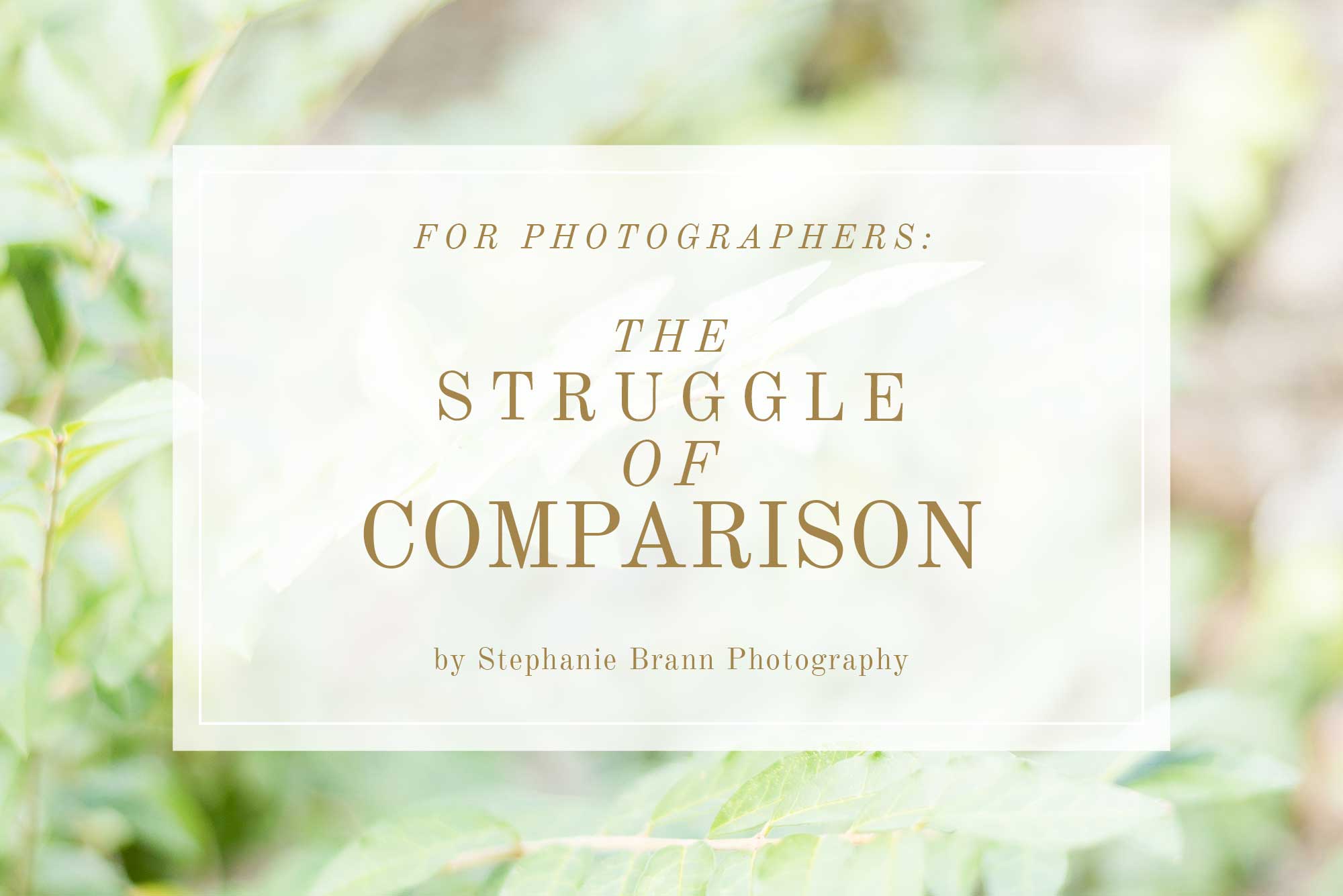 wedding-photographers-and-dealing-with-comparison-and-having-community-over-competition