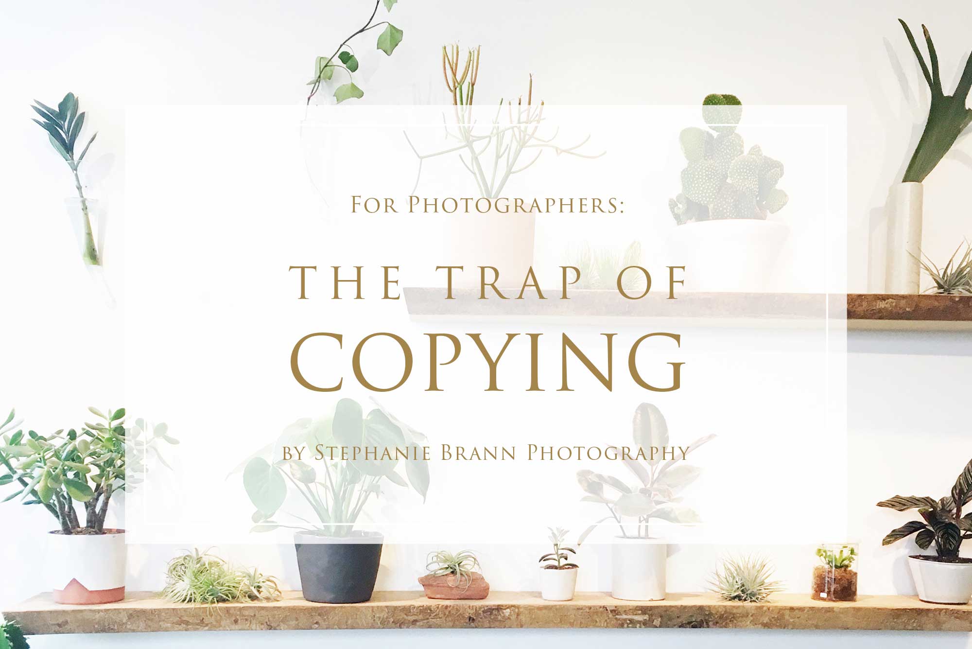 comparison-game-with-photographers-in-the-creative-industry