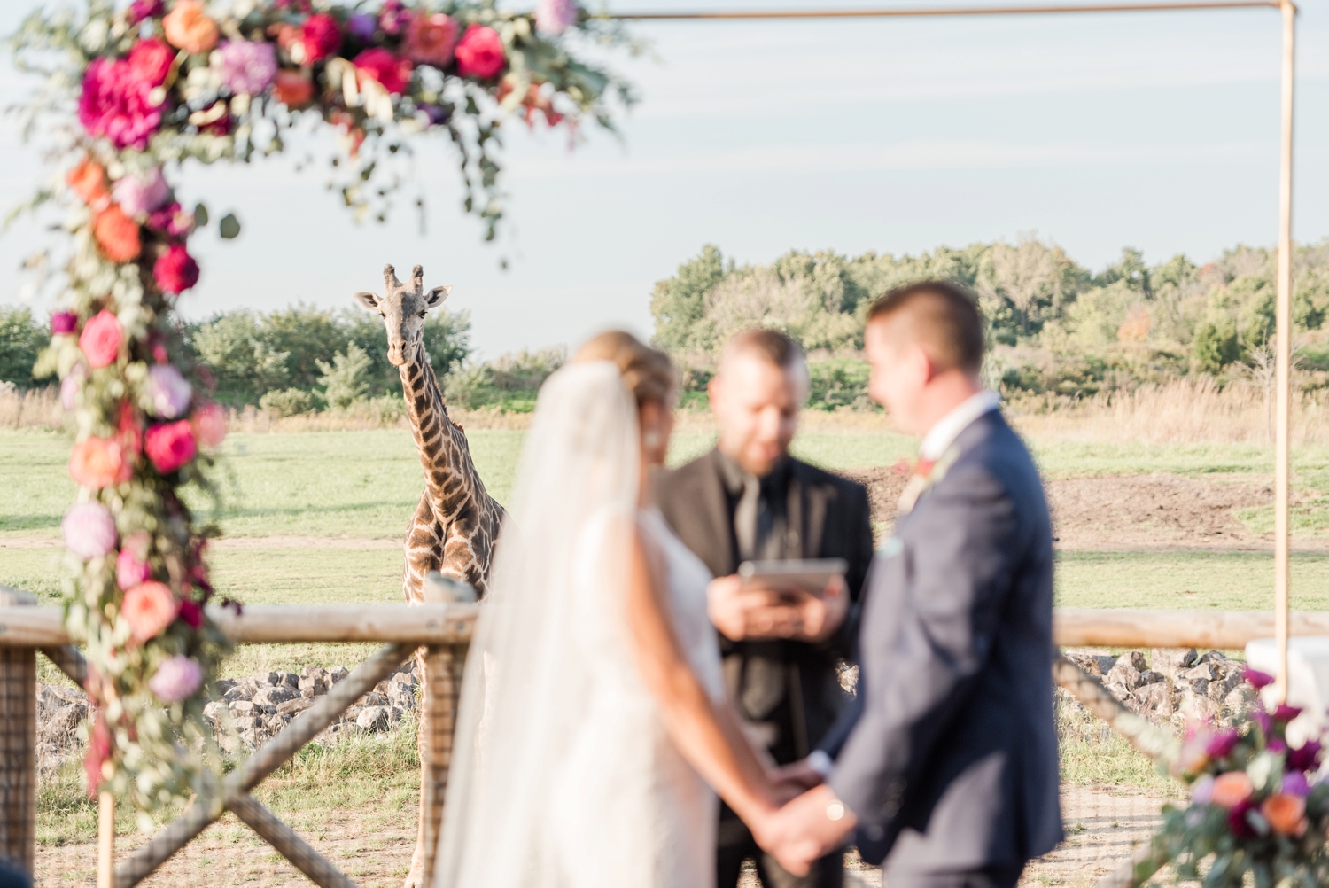 giraffe-peaking-over-during-a-wedding-ceremony