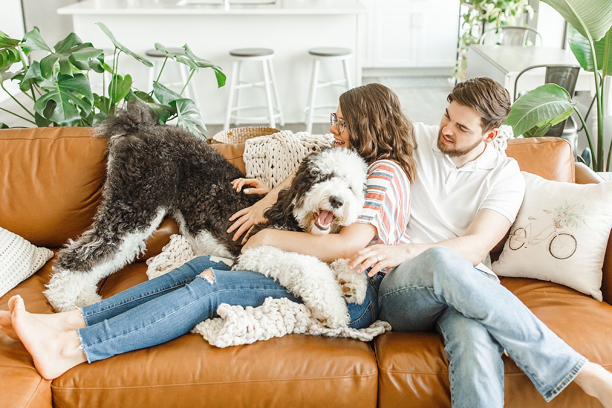 married couple hugs dog during photos at home