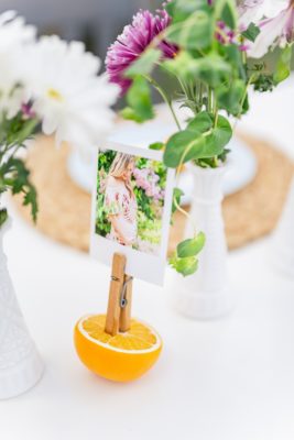 photo holders made with citrus fruit
