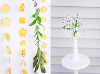 citrus inspired backdrop for photos at baby shower