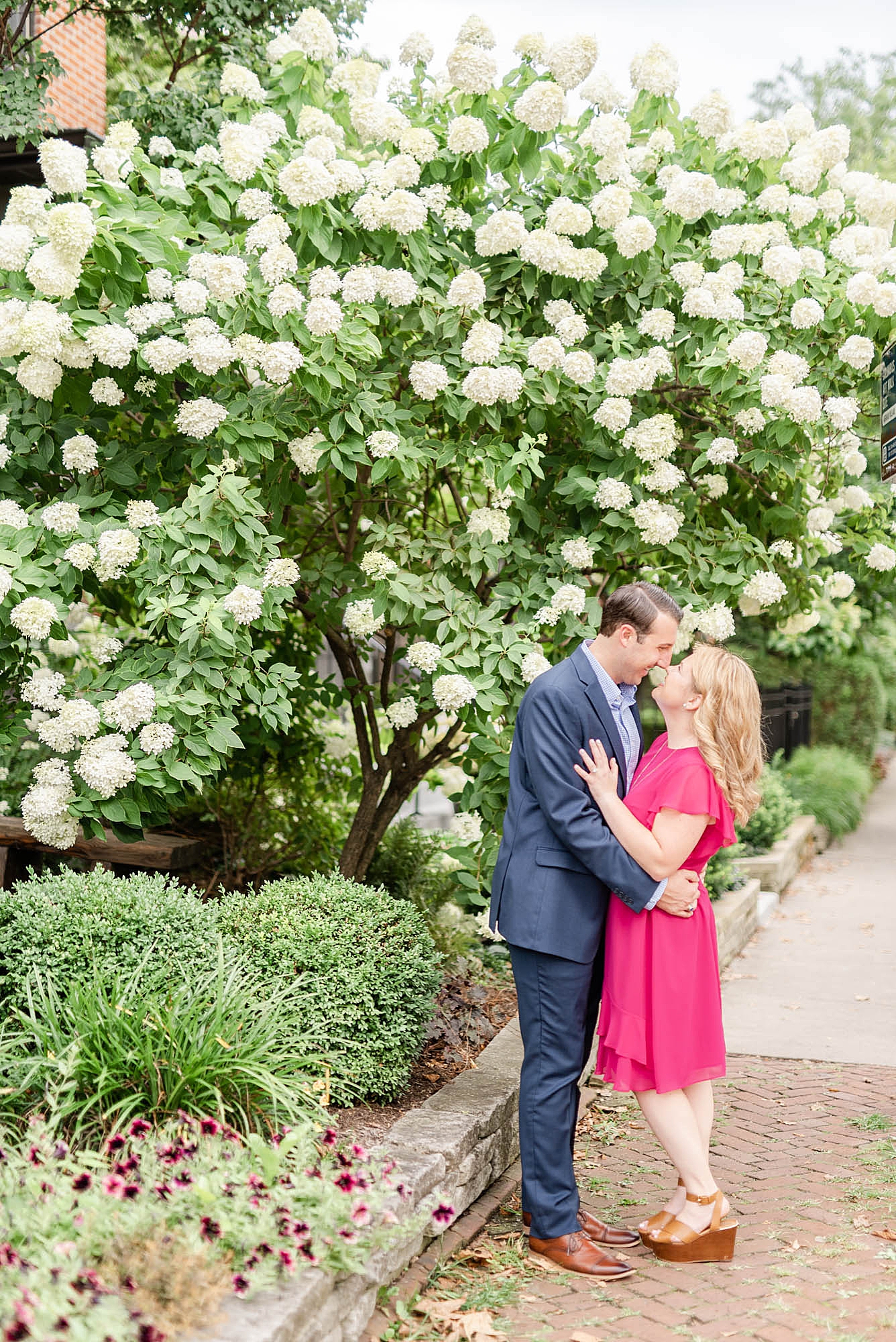 engaged couple kisses by tree with white flowers in the German Village