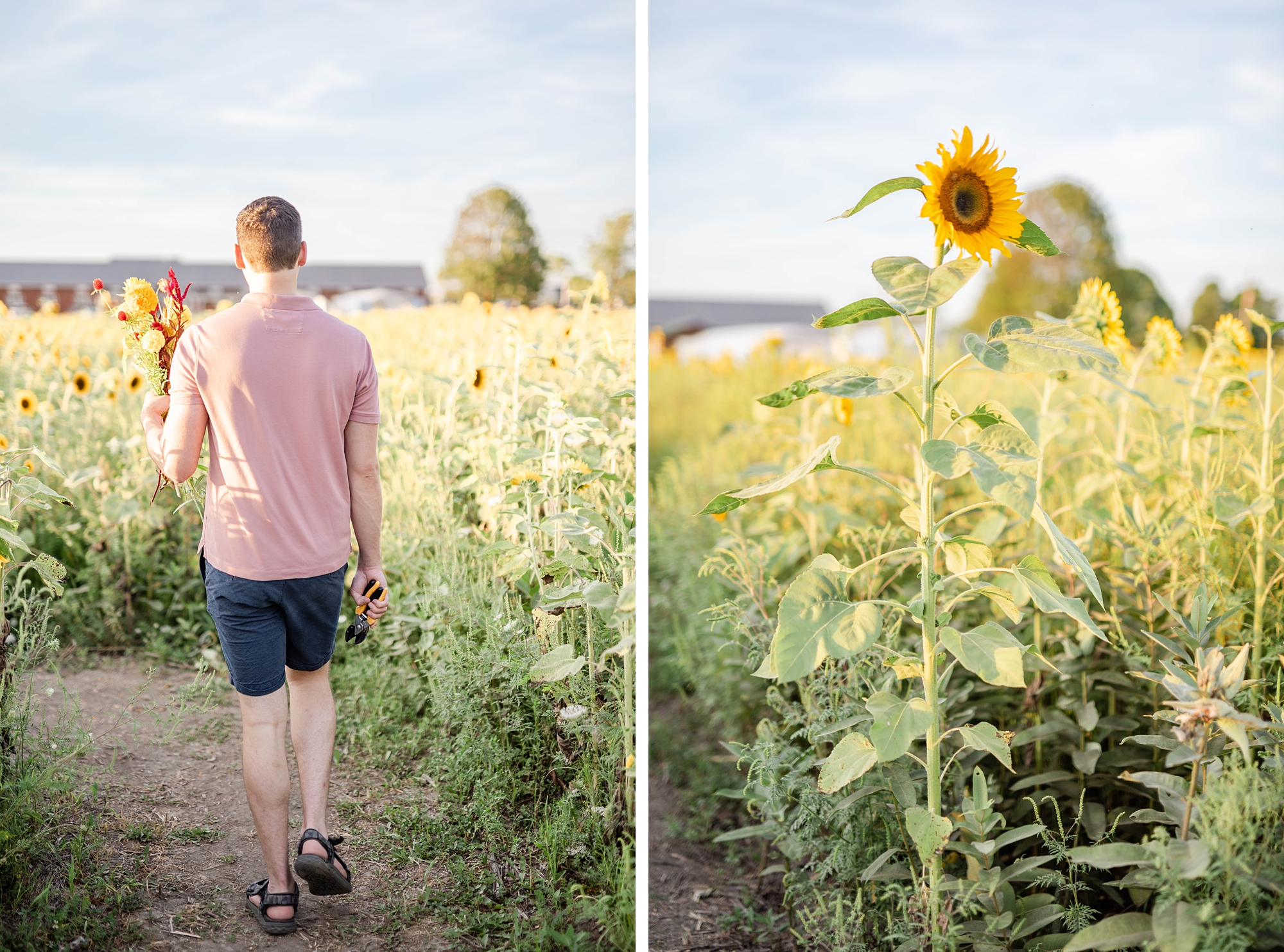 husband walks through U-Pick garden at The Ohio Flower Girls in Bucyrus, Ohio