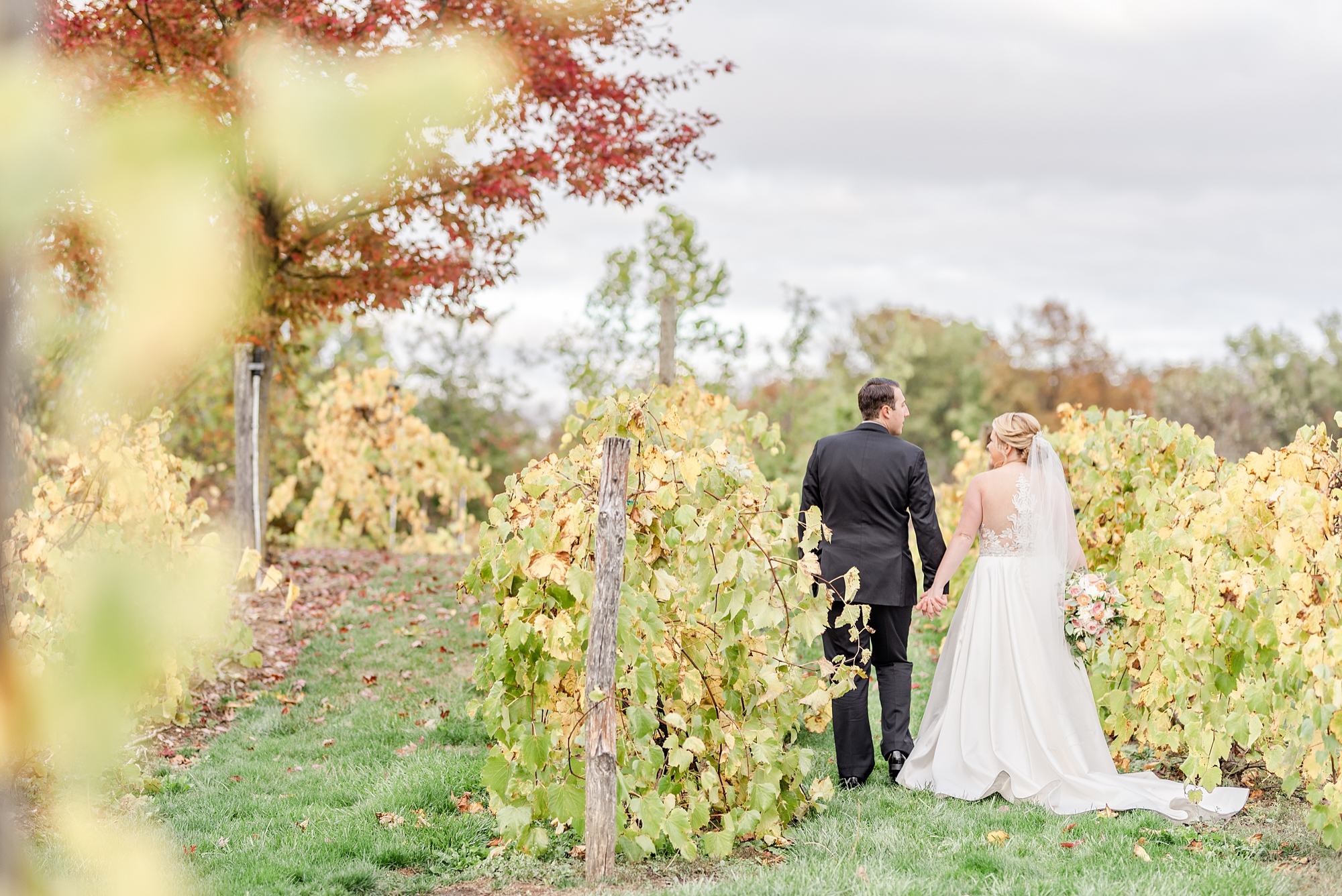 newlyweds walk through vines in Ohio