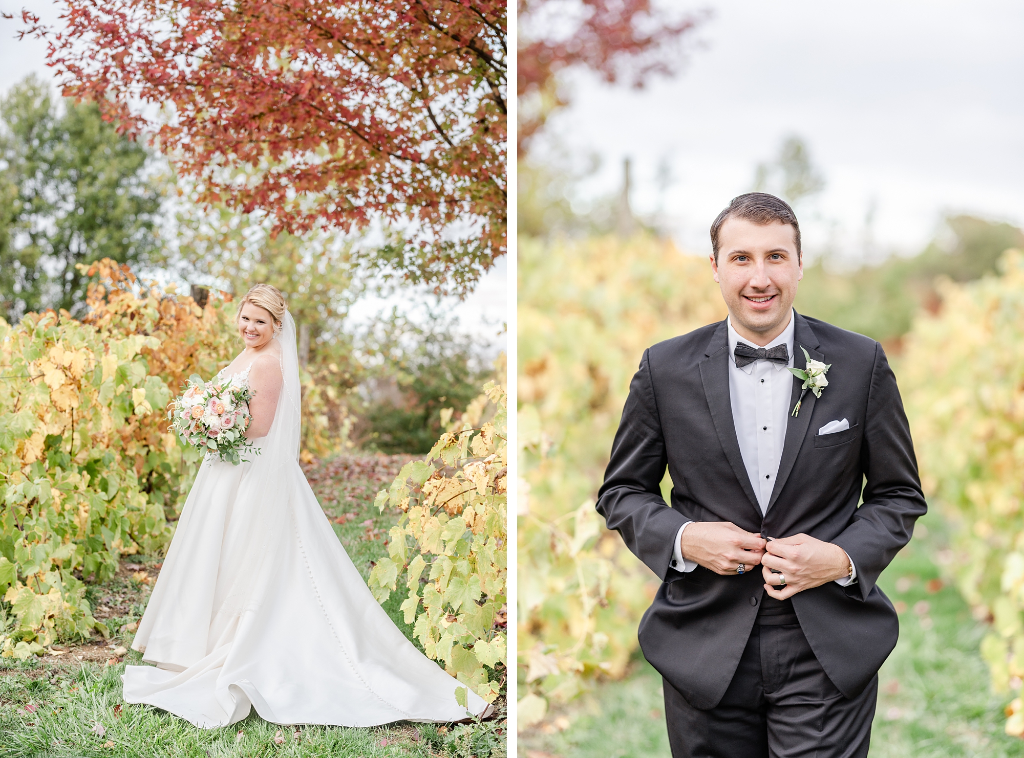 fall wedding portraits in vineyard