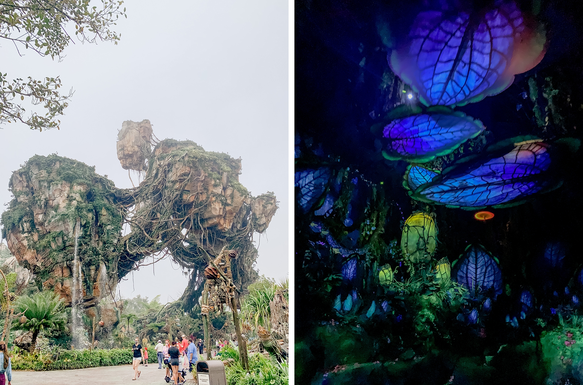 Pandora land at Animal Kingdom in Walt Disney World