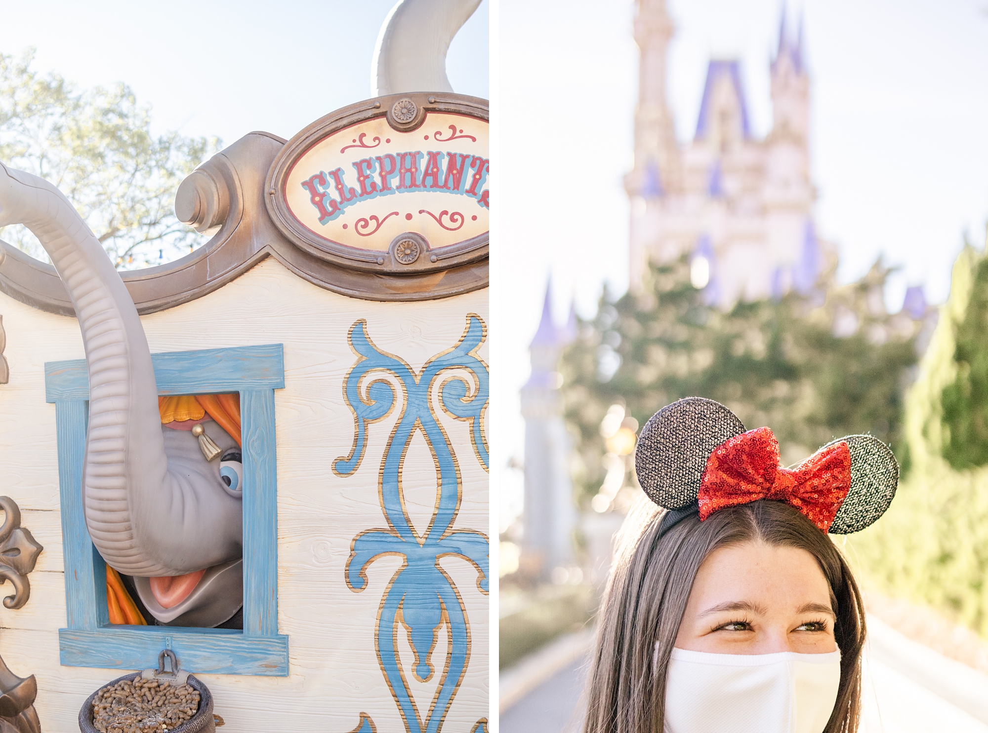 Magic Kingdom details at Walt Disney World