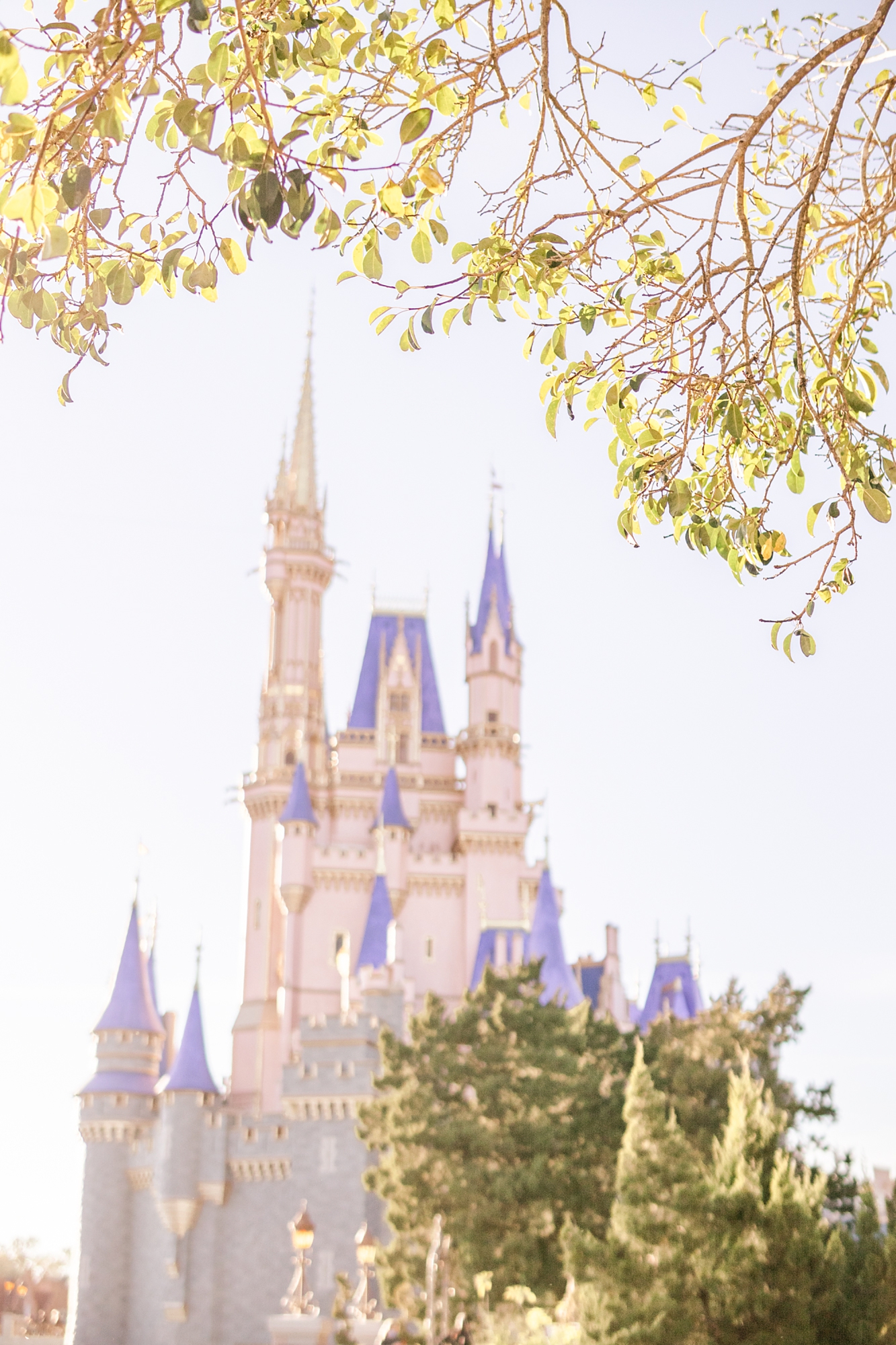 Cinderella's Castle in Orlando FL