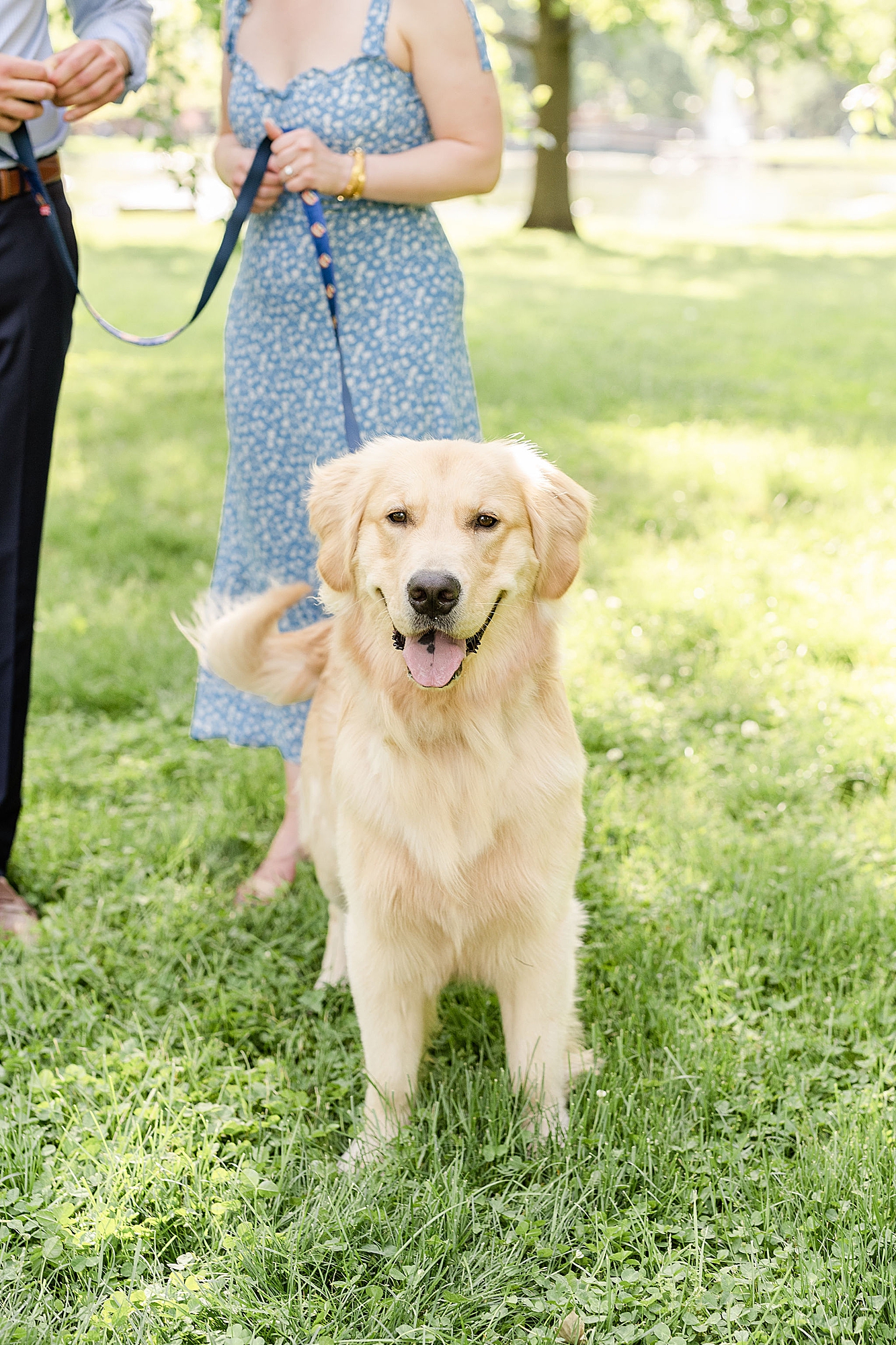 couple walks with dog during spring engagement session