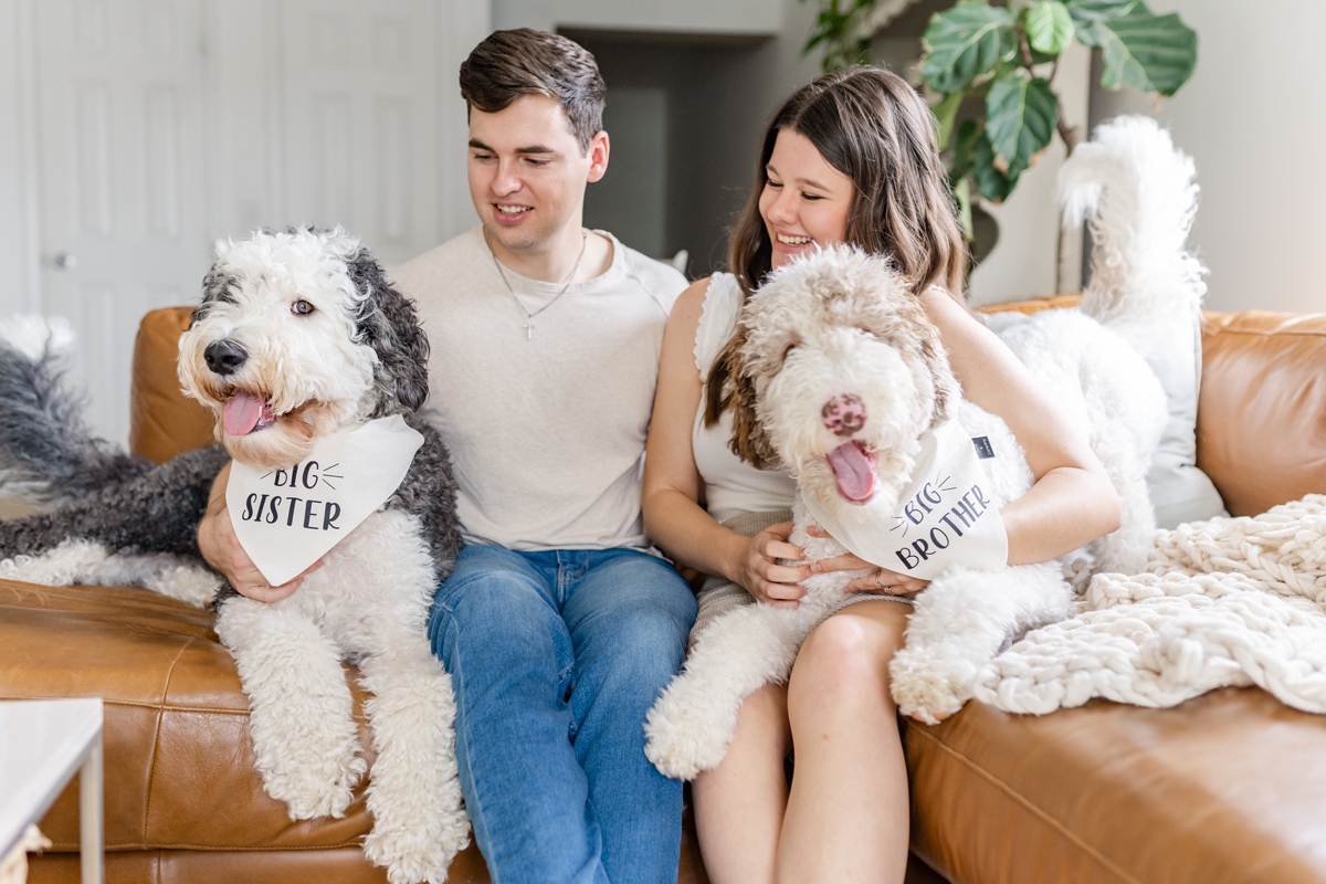 baby-photo-announcement-with-dogs