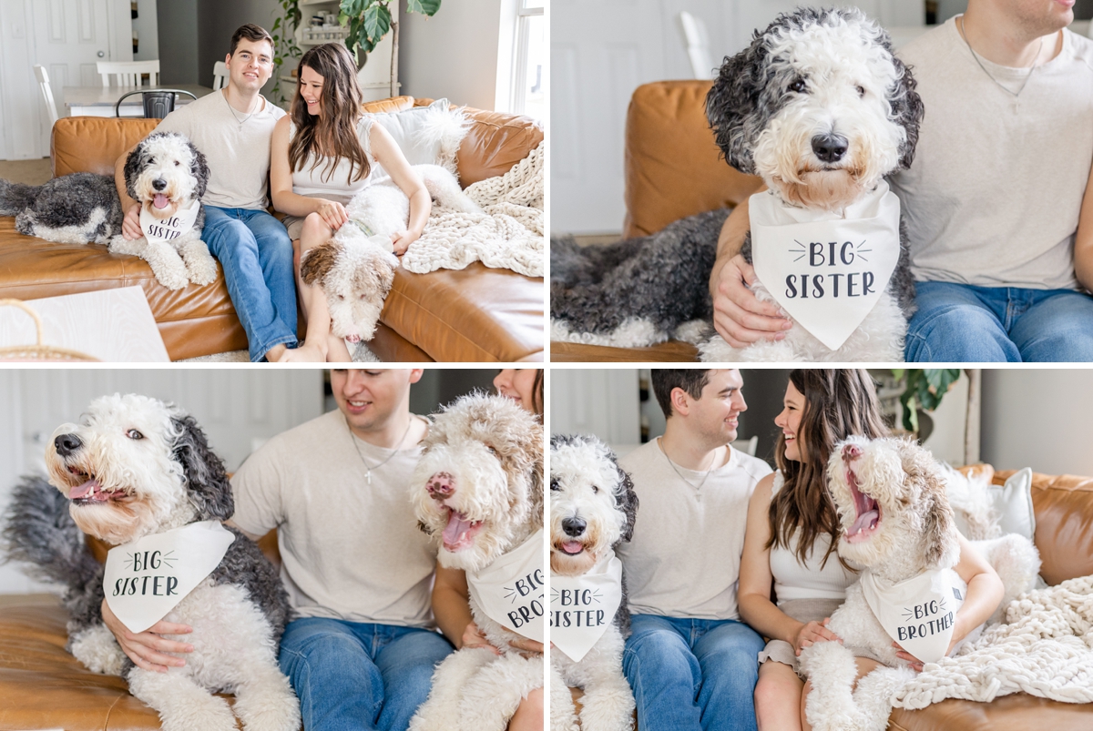 ideas-for-how-to-include-your-dogs-in-your-pregnancy-announcement