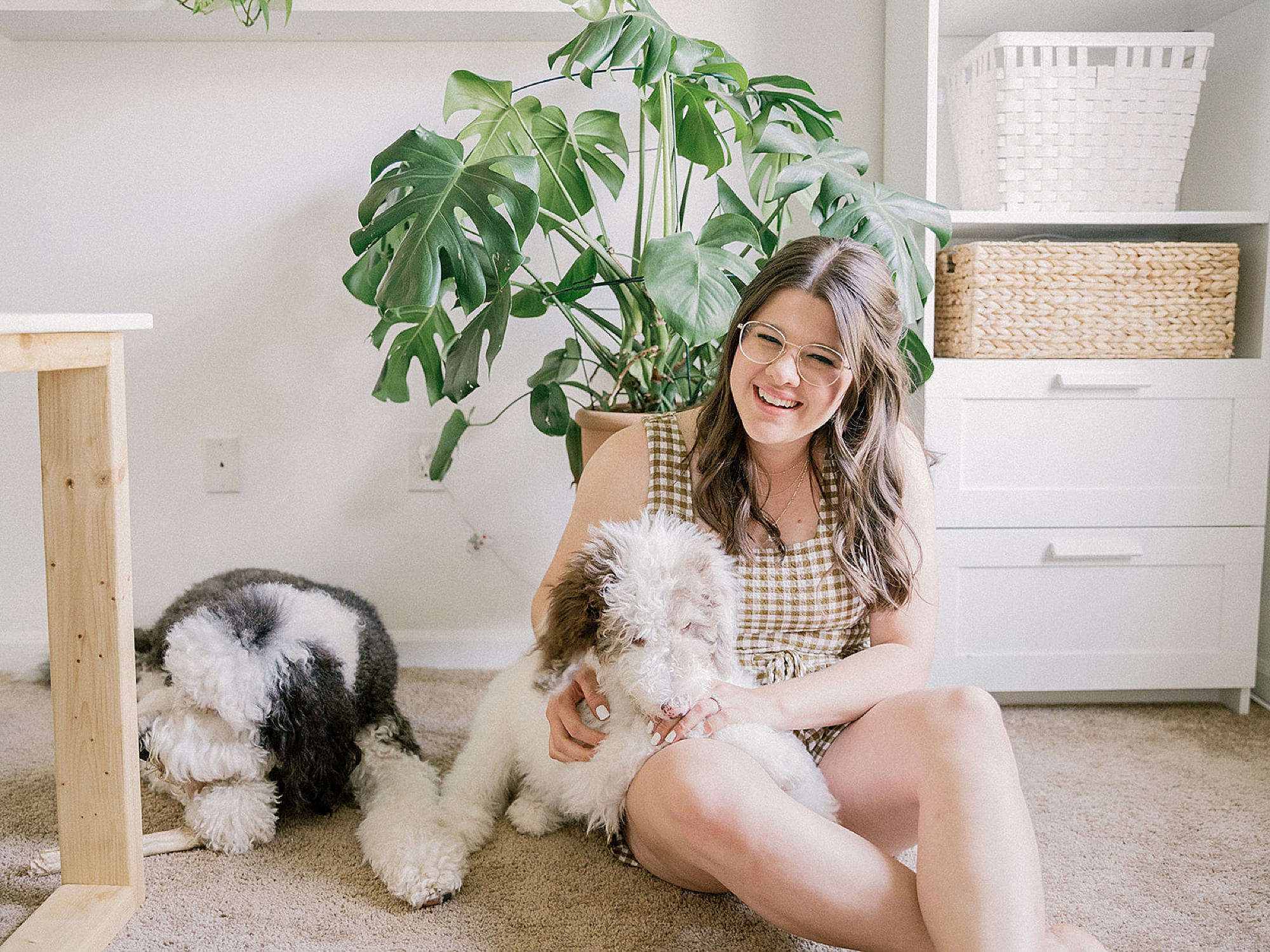 woman works at home with dogs in office