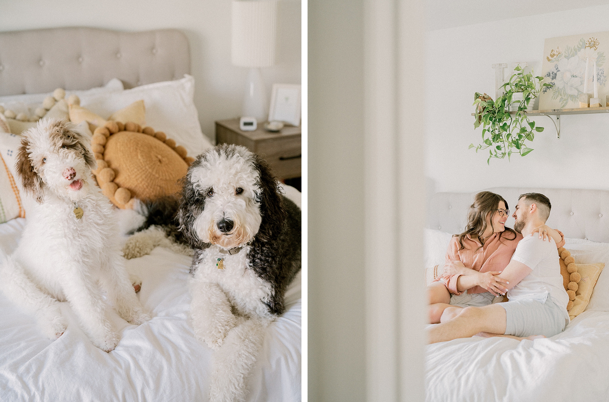 couple cuddles with dogs at home during fourth anniversary portraits
