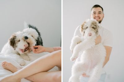 dogs cuddle with owners during at home family photos
