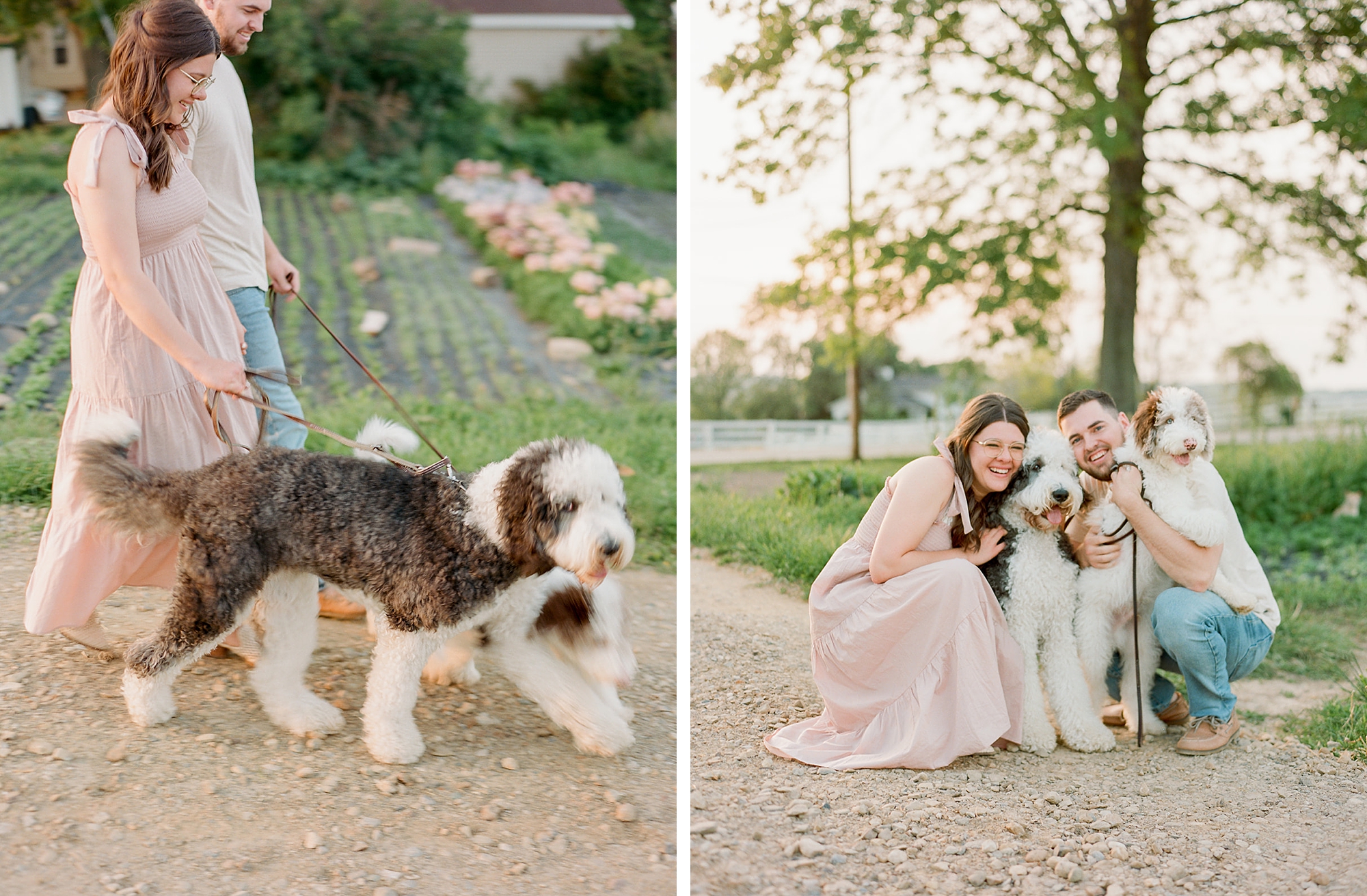 couple poses with dogs during fourth anniversary portraits at Old Slate Farm