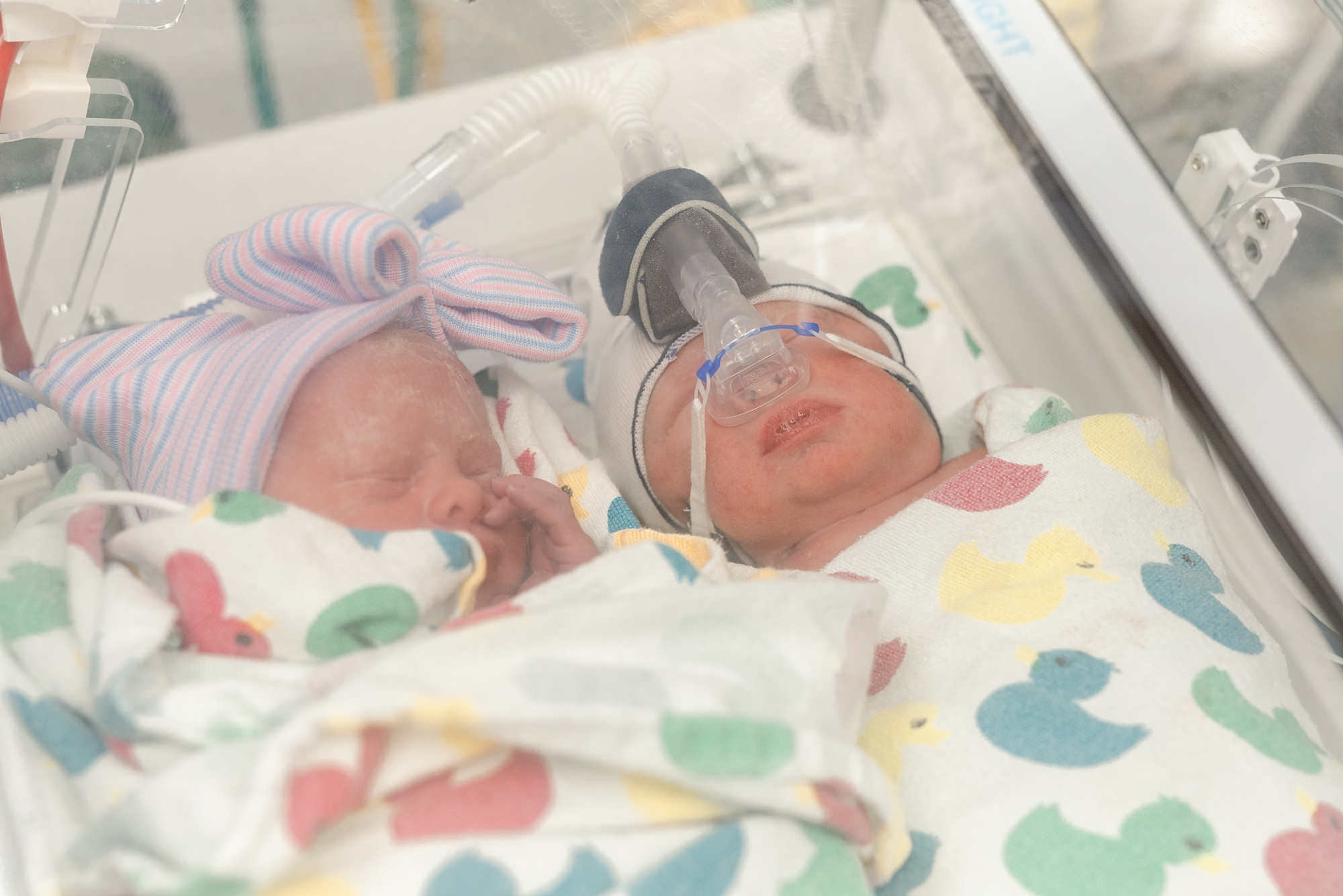 twins lay in hospital bed in NICU post delivery 