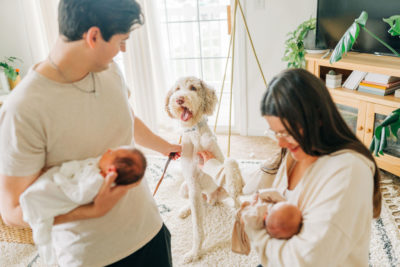 dog sits with parents and new babies